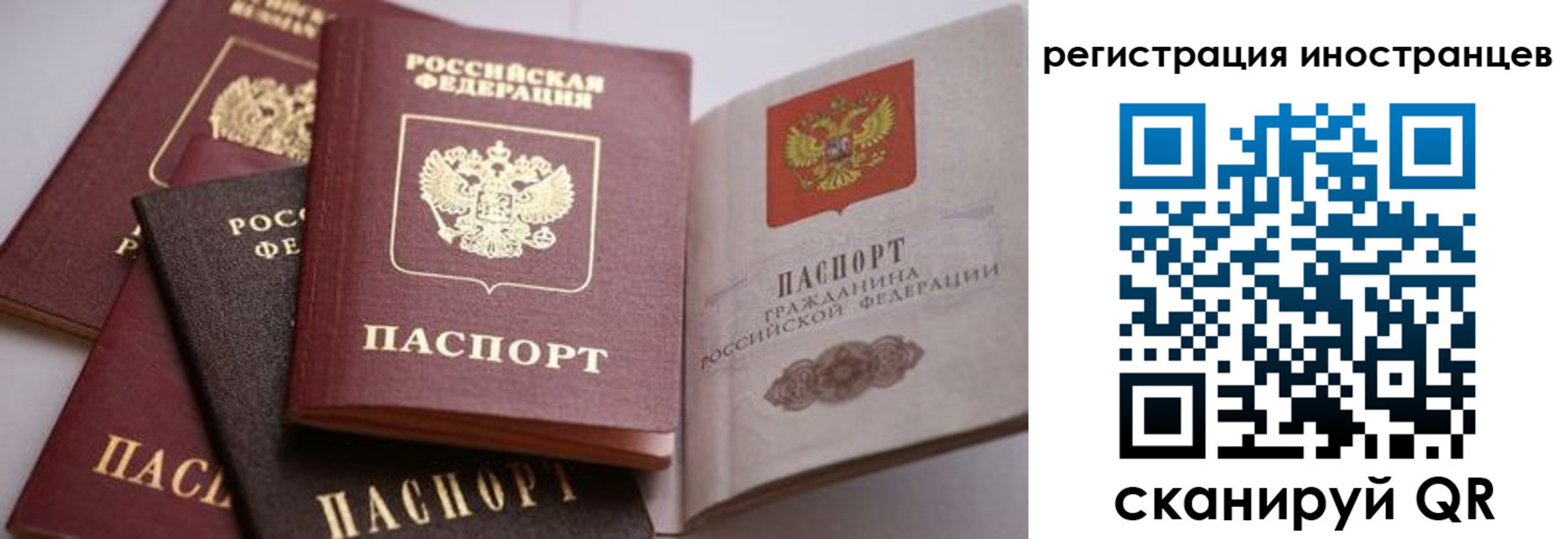 прописка штамп в Лесном